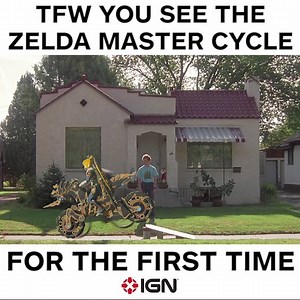 248K views · 1.7K reactions | Do lynels have big talons? | IGN | Facebook