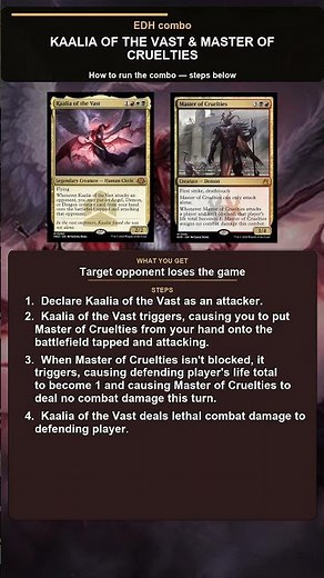 MTG EDH Combo Explained