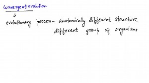 SOLVED:REAL WORLD BIOCHALLENGE Examples of divergent evolution are… | Numerade