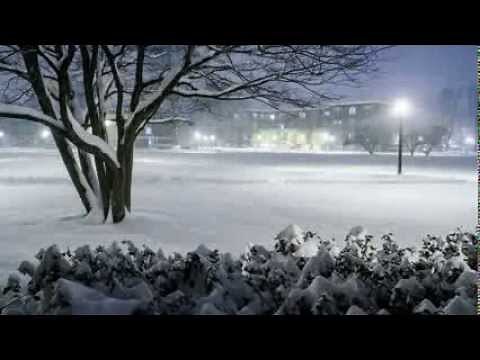 Time Lapse of Snow Accumulation