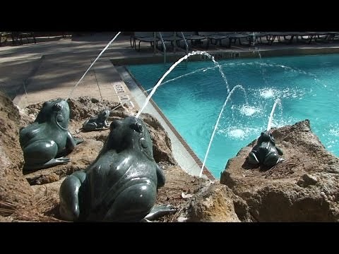 Detailed Pool Tour at Treehouse Villas - Disney's Saratoga Springs Resort, Walt Disney World