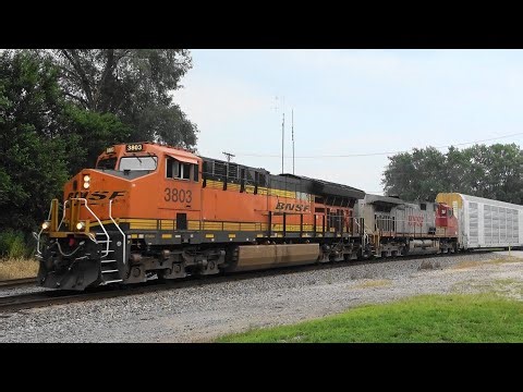 BNSF Grain Train & Two Freights, Colona, IL 8/1/2025