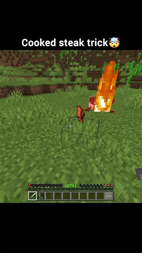 Minecraft cooked steak trick #loyaltygamer #usa #canada #australia