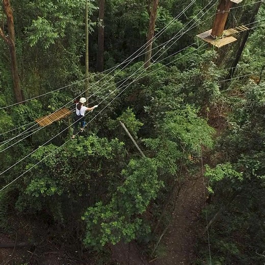 Unlock the Ultimate Adventure at TreeTop Challenge Sunshine Coast! Experience Australia's highest and most thrilling high ropes adventure park, perfect for all ages. Ready to make unforgettable memories? | Tree Top Challenge