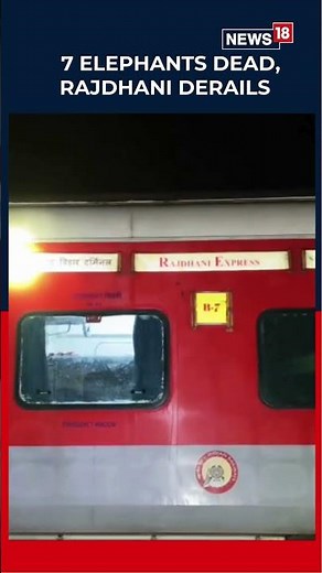 Horrific Accident: Seven Elephants Were Killed After A Delhi Bound Rajdhani Express Collides | N18S