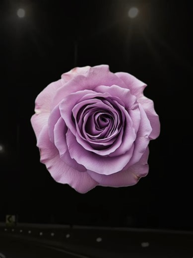 Beautiful Song Lyrics