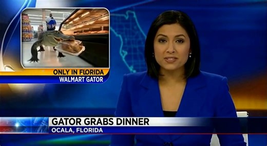 Only in Florida tonight—an alligator casually walked into a Walmart, grabbed a rotisserie chicken, and ate it right in the store | Extreme Living