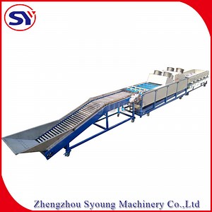 [Hot Item] Carrot Apple Navel Orange Sorter Tomato Washing Drying Waxing Sorting Machine