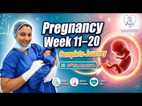 Pregnancy Week 11–20: Complete 2nd Trimester Guide