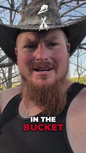 DIY Bee Swarm Trap: My First Attempt! #shorts