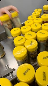 That Zesty Lemon Pepper is dropping soon Cocoa. Stay tuned. #PureWave @blessedlyflavored 🌊🍋🌊🍋🌊🍋 | Roblé