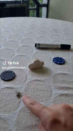 Gabriel Benicio (@gabrielbeniciobh) - How to Train a Pet Fly: Tips for Domestication
