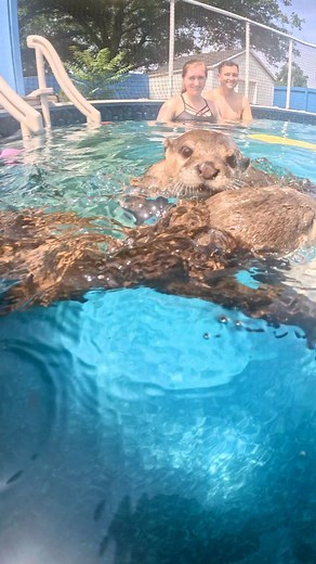 13K views · 147 reactions | Poseidon would LOVE to get his little...