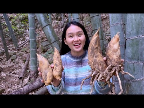 A table full of winter bamboo shoots, the family enjoyed it with relish