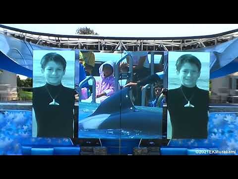 Shamu - Believe - SeaWorld San Diego - June 16, 2007