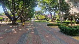 Campus - Santa Cruz