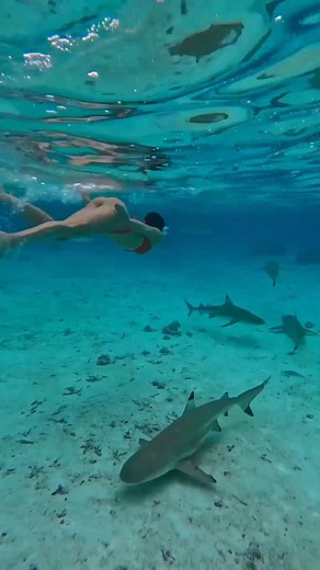 10K views · 402 reactions | Adventures in Tahiti! It's the ultimate...