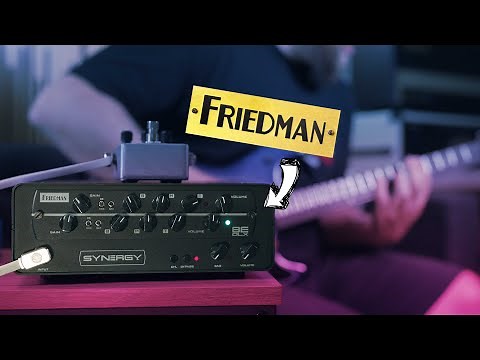 Synergy Friedman BE DLX Module!
