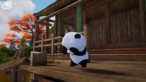 New Panda Buddy Set Series available now! 🐼 Fighter Panda Buddy, Drunkfist Panda Buddy, and Panda Disciple Buddy await you! Now you can also pet pandas in PUBG MOBILE! Put on the set you think is the most matching and head to the battleground with your Panda Buddy! Which outfit would you choose to match with your panda buddy? Let us know in the comments! 📲 https://pubgmobile.live/PUBGMPANDA360 #PUBGMOBILE #PUBGMOBILEPH #PUBGMuna #PUBGMPANDA360 #PUBGMSETS360 | PUBG Mobile Philippines
