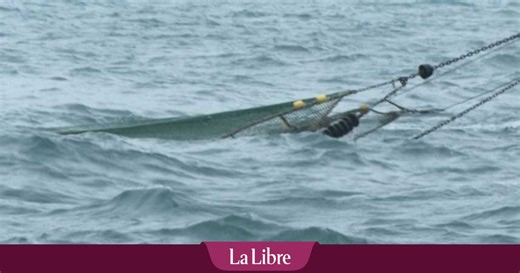 Au large de Dunkerque, de la pêche industrielle en pleine aire maritime protégée