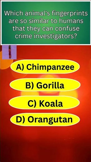 🐨 This Animal Has Human-Like Fingerprints! 🤯 | GK Quiz Challenge