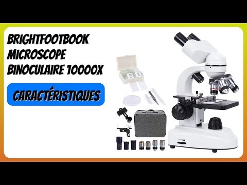 AVIS (2026) : BrightFootBook Microscope Binoculaire 10000x. DÉTAILS