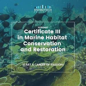 Study fun with experienced trainers in Marine Conservation. Work professionally in Marine Conservation and Restoration. Start protecting our oceans today! 🐟 | Envirotech Education