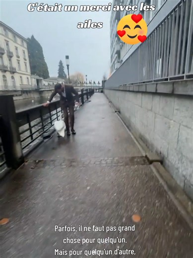 Vidéos de Luca-Kerberos (@luca_kerberos) avec Snowy Morning - FREDERIC BOUCHAL