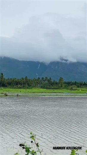 Kollengode Palakkad Kerala #nature #kollengode #palakkad #kerala #keralatourism