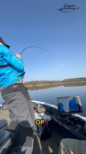 🔥Šamų Žvejyba!🔥 Šie ,,monstrai" dabar kimba puikiai, pasiruošk jų žvejybai tinkamai 👉 https://bit.ly/3GNr17M Nenori pirkti įrangos ar neturi jokio supratimo, kur, ant ko ir kaip? Gali žvejoti kartu su patyrusiu gidu Jonu - gerai praleistas laikas garantuotas! Susisiek su Jonu👇 ✅Facebook'as - Jonas Gaidys ✅Instagram'as - joonass_g ✅El. paštas - gaidysjonas00@gmail.com Arba užsisakyk čia 👉 https://bit.ly/4iC1uM6 Valtyje viskuo bus pasirūpinta, tad tau beliks tik mėgautis žvejyba! ❗Pagauk savo