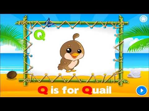 Q is for Quail ABC's Alphabet Toddler Aquarium Alphabet adventure