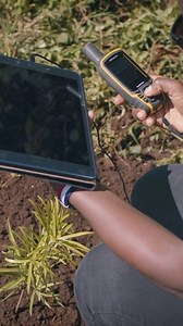 12K views · 288 reactions | Mr Beast and #TeamTrees, the Bonn challenge, the Great Green Wall... there are so many tree-planting campaigns out there. But can the wrong approach actually harm our planet instead?  #treeplanting #documentary | Ecosia | Facebook