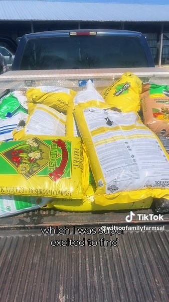 Discovering Budget-Friendly Soil Hacks at Lowes