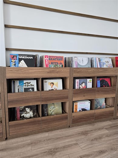 Custom Vinyl Record Storage Cabinet – Handmade Drawer Unit for Lps | Modern & Minimalist Design | Made to Order - Etsy