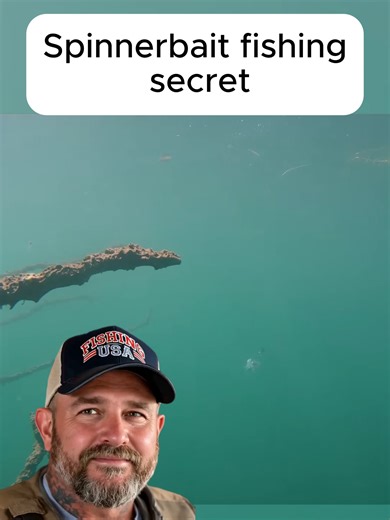 Spinnerbait fishing tips for catching bass in freshwater lakes and rivers. #spinnerbait #fishinglife #bassfishing #freshwaterfishing #fishingtips