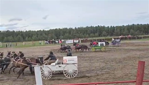 June 7,2024 Hudson Bay Casey barrel 2 (red) with Kevin driving | Gareau Chuckwagon Racing Team