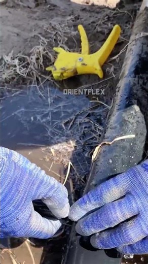 Drip Tape Install Easy Steps for Farm Irrigation Setup #shorts #drip #agri #farm