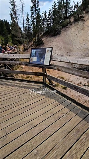 Mud Volcano in Yellowstone #Amazing #bitscarry #bestvacationever #everyonefollowers #everyoneactive #viewers #followers #nonfollowers #highlights #ThanksForWatching | Matil J. Brown