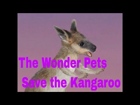 The Wonder Pets Save the Kangaroo