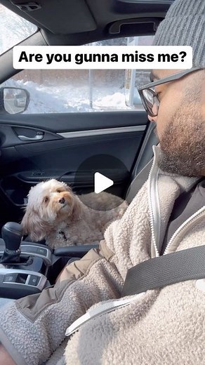 Luna The Mini Cockapoo on Instagram: "I can’t with the head nods… 😩❤️ #puppylove #cockapoo #doglover"