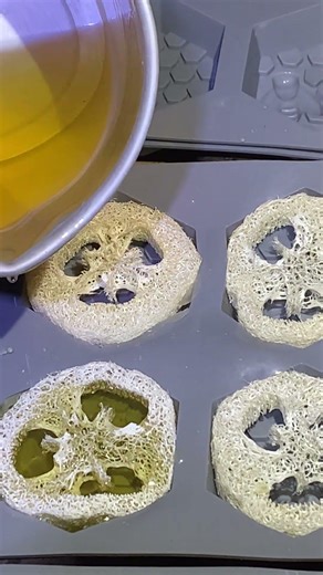 What is a Luffa? #luffa #honeysoap #soapmaking #honeybee