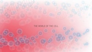 Science video with cells. Vector mesh spheres from flying debris. Animation of molecular research dna, medicine scientific, Life and biology. -stock footage