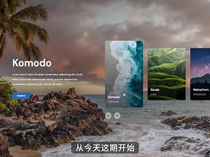 wordpress.com使用教程