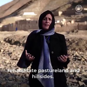 116 reactions · 17 shares | The changing climate is affecting the livelihoods of farmers in Afghanistan. We must support farmers to ensure that their practices are sustainable and climate resilient. FAO’s Deputy Director-General Beth Bechdol explains more. #WaterAction #COP28 | Food and Agriculture Organization of the United Nations (FAO) | Facebook