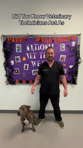 Celebrating National Veterinary Technician Week! 🐾 We're pawsitively grateful for our amazing vet techs and the future heroes in training. National Association of Veterinary Technicians in America (NAVTA) NCAVT- North Carolina Association of Veterinary Technicians #VetTechWeek #NationalVeterinaryTechnicianWeek #animals #vettech | Cape Fear Community College