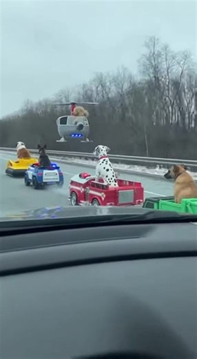 I Just Witnessed The Paw Patrol On The HIGHWAY! (AI) | Crafty School