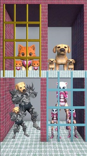 WATCH US DANCE#dog #cat #funny #shots