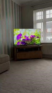 Me When Andy’s Safari Adventures Comes On (v4)