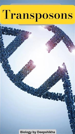 Transposons in 50 seconds | Jumping Genes | NCERT Class 12 Biology | CUET UG 2026 #cuet #ytshorts
