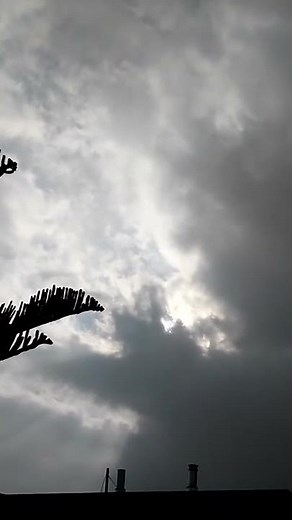Jesus Face in Clouds (watch closely)